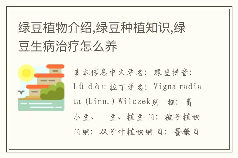 绿豆植物介绍,绿豆种植知识,绿豆生病治疗怎么养