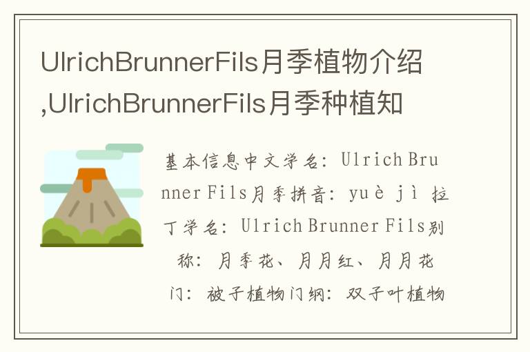 UlrichBrunnerFils月季植物介绍,UlrichBrunnerFils月季种植知识,UlrichBrunnerFils月季生病治疗怎么养