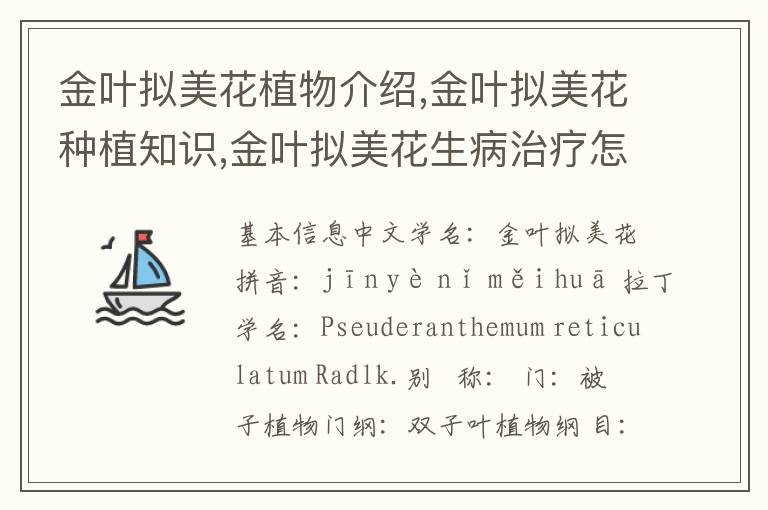 金叶拟美花植物介绍,金叶拟美花种植知识,金叶拟美花生病治疗怎么养