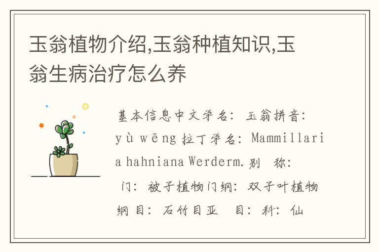 玉翁植物介绍,玉翁种植知识,玉翁生病治疗怎么养