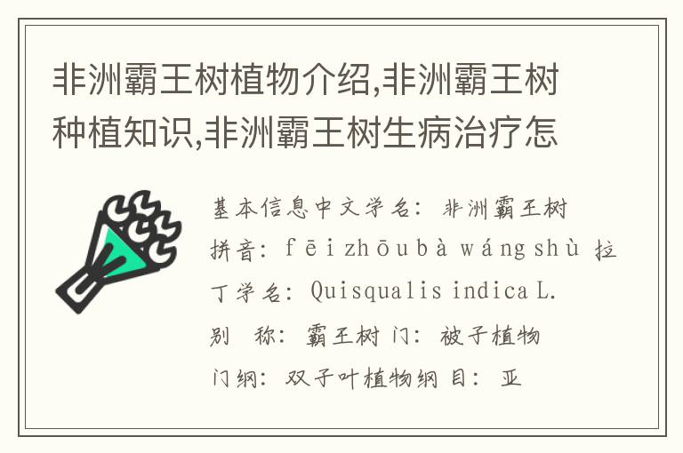 非洲霸王树植物介绍,非洲霸王树种植知识,非洲霸王树生病治疗怎么养