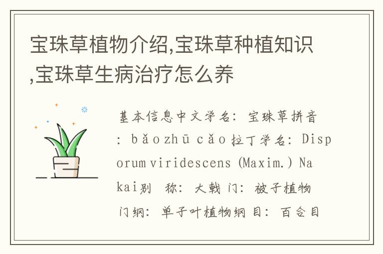 宝珠草植物介绍,宝珠草种植知识,宝珠草生病治疗怎么养