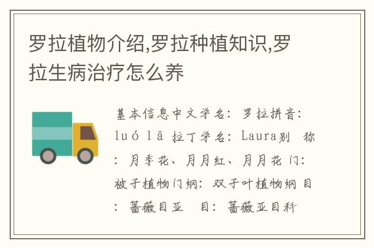 罗拉植物介绍,罗拉种植知识,罗拉生病治疗怎么养