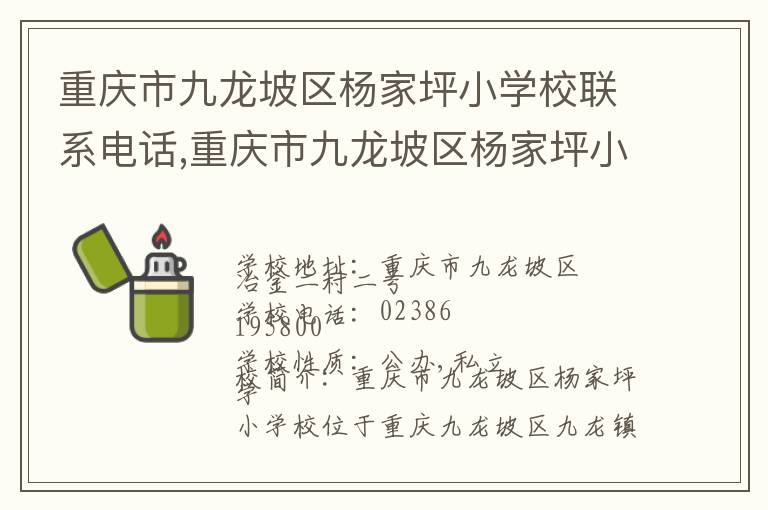 重庆市九龙坡区杨家坪小学校联系电话,重庆市九龙坡区杨家坪小学校地址,重庆市九龙坡区杨家坪小学校官网地址