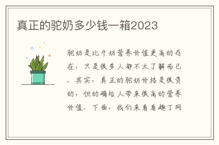 真正的驼奶多少钱一箱2023