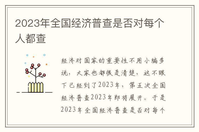 2023年全国经济普查是否对每个人都查