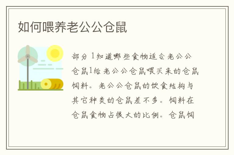 如何喂养老公公仓鼠