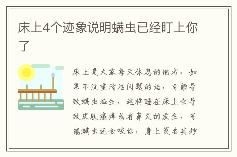 床上4个迹象说明螨虫已经盯上你了