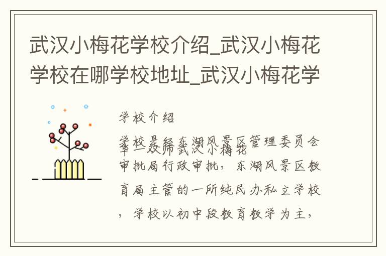 武汉小梅花学校介绍_武汉小梅花学校在哪学校地址_武汉小梅花学校联系方式电话_武汉市学校名录